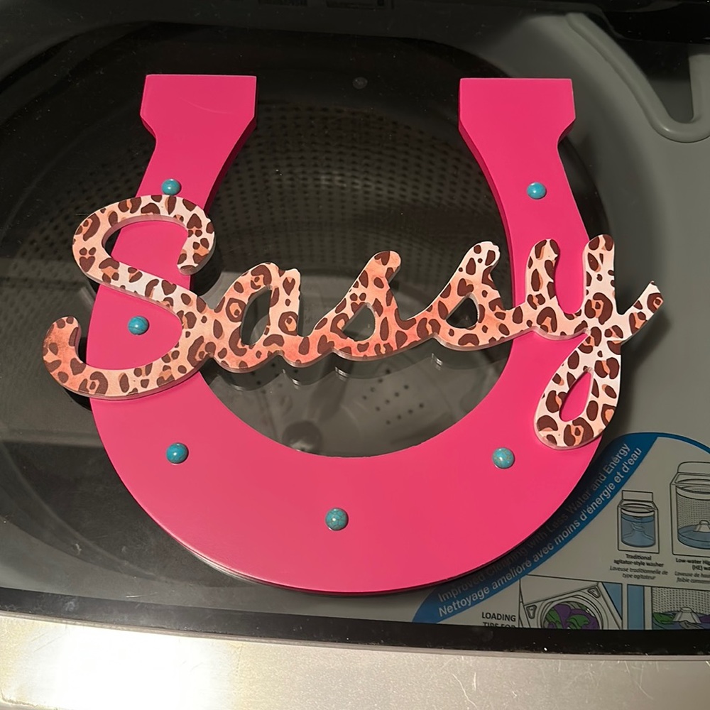 Sassy horse shoe room decor